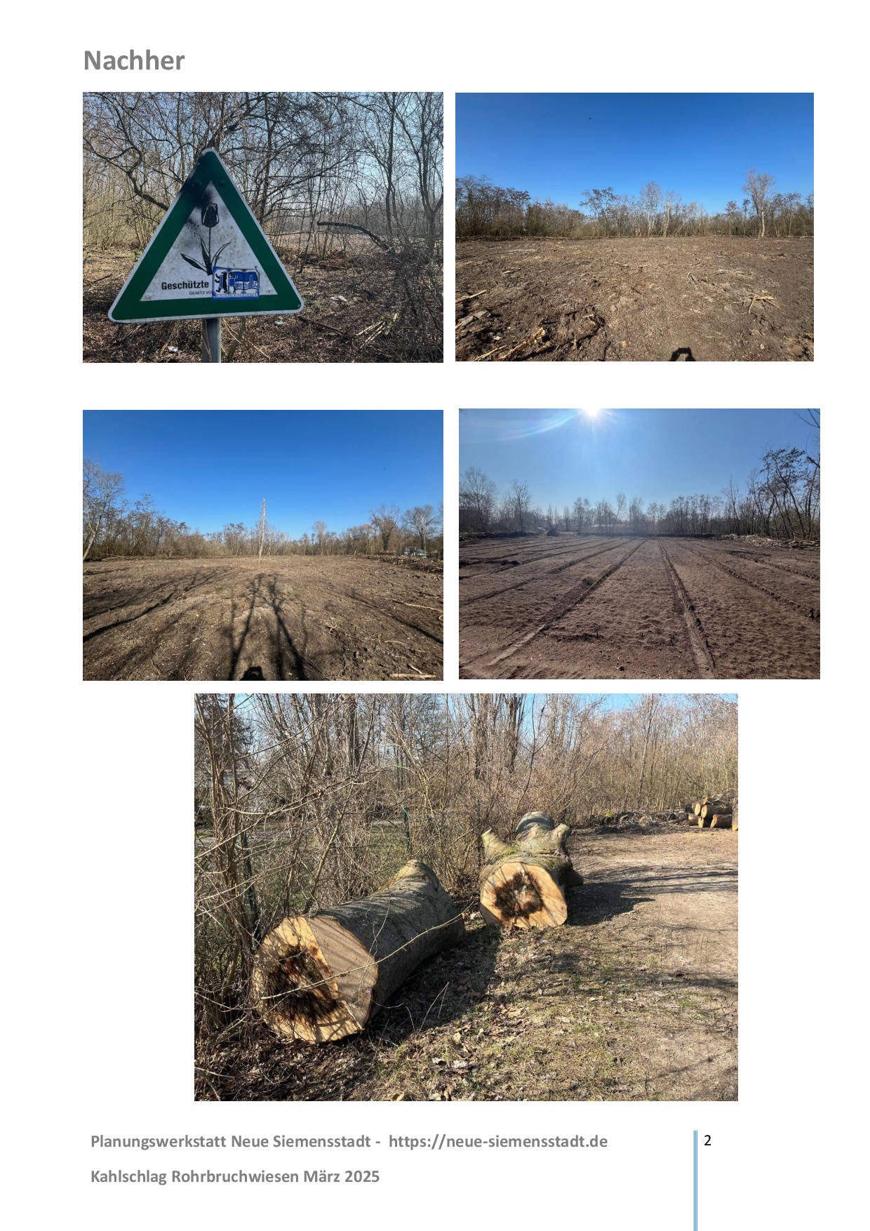 PlanW - Rohrbruchwiesen_Presse 02.jpg